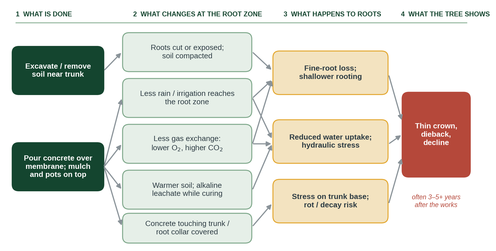 Figure 1. Pathways by which concrete works could harm an established tree. Which pathways operate, and how strongly, depends on species, age, the fraction of the root zone sealed, distance from the trunk, soil and water supply.